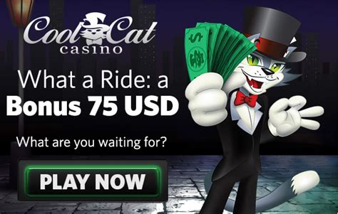 cat casino bonus